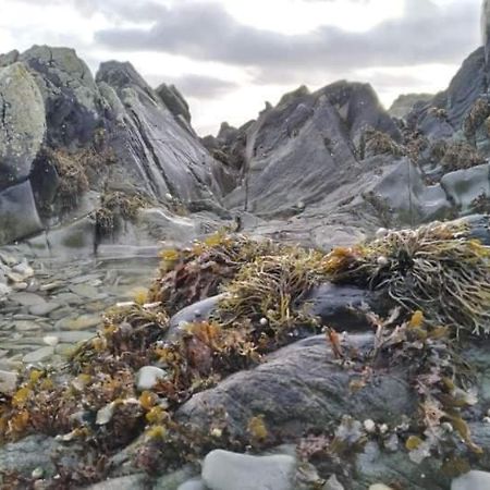 Port Lodge Northern Ireland Портаферрі Екстер'єр фото